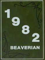 Beaver River Central High School 1982 yearbook cover photo