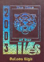 DeLeon High School 2003 yearbook cover photo