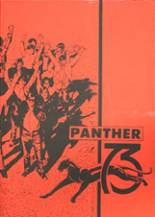 Pauls Valley High School 1973 yearbook cover photo