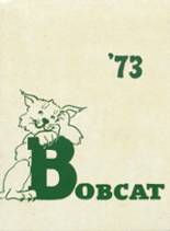 Burley High School 1973 yearbook cover photo