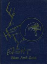 1988 Hudson High School Yearbook from Hudson, New York cover image