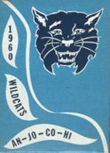 Anna-Jonesboro High School 1960 yearbook cover photo