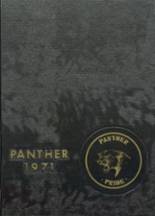 Derby High School 1971 yearbook cover photo