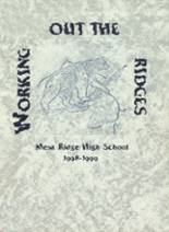 Mesa Ridge High School 1999 yearbook cover photo