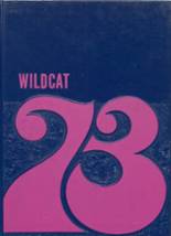Willow River High School 1973 yearbook cover photo