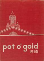 1955 DeVilbiss High School Yearbook from Toledo, Ohio cover image