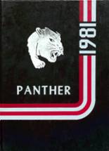 Pittsfield High School 1981 yearbook cover photo