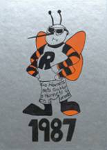 Richland Center High School 1987 yearbook cover photo