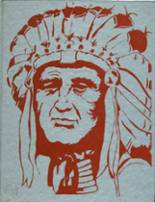 1978 Arcadia High School Yearbook from Arcadia, Ohio cover image