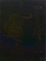 2007 Hudson High School Yearbook from Hudson, Michigan cover image