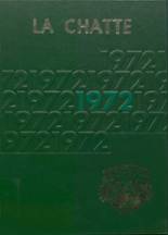 1972 Lakeview High School Yearbook from Lakeview, Michigan cover image