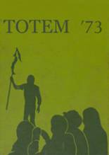 1973 Owatonna High School Yearbook from Owatonna, Minnesota cover image