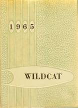 Winchester High School 1965 yearbook cover photo