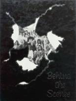 Berthoud High School 1991 yearbook cover photo