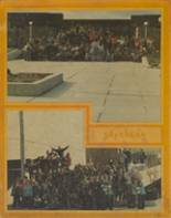 Plymouth Centennial Educational Park 1977 yearbook cover photo