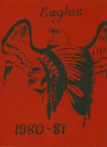 Indian Heritage High School 1981 yearbook cover photo