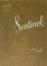 1960 Depew High School Yearbook from Depew, New York cover image