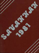 Savanna High School 1981 yearbook cover photo