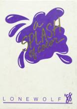 Dalhart High School 1988 yearbook cover photo