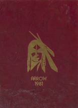 Waukon High School 1981 yearbook cover photo