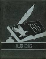 1965 Otterville High School Yearbook from Otterville, Missouri cover image