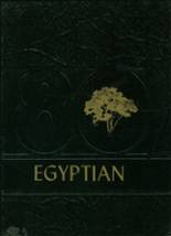 Egyptian High School 1980 yearbook cover photo