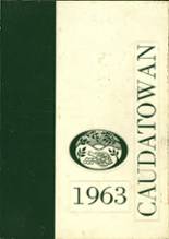 1963 Ridgefield High School Yearbook from Ridgefield, Connecticut cover image
