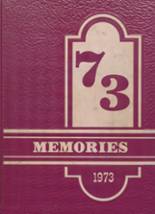Conneaut High School 1973 yearbook cover photo