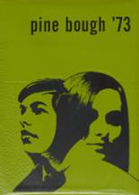1973 Pine River High School Yearbook from Pine river, Minnesota cover image