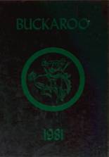 Breckenridge High School 1981 yearbook cover photo