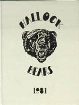 Hallock High School 1981 yearbook cover photo
