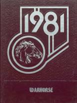 1981 yearbook from Charles D. Owen High School from Black mountain