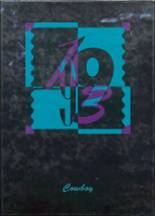 1993 Colome High School Yearbook from Colome, South Dakota cover image