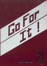 1981 Gloversville High School Yearbook from Gloversville, New York cover image