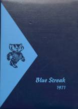 1971 Bennington High School Yearbook from Bennington, Nebraska cover image