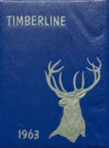 1963 Lake Quinault High School Yearbook from Amanda park, Washington cover image