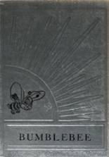 1971 Lincoln High School Yearbook from Port arthur, Texas cover image