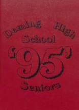 Deming High School 1995 yearbook cover photo