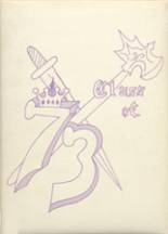 Sharon Springs Central School 1973 yearbook cover photo