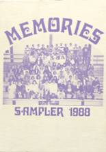 Bellows Falls Union High School 1988 yearbook cover photo
