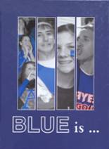 Apollo High School 2010 yearbook cover photo