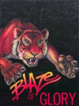 Fairview High School 1991 yearbook cover photo