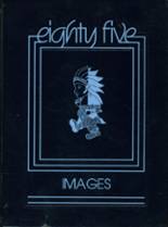 1985 Chippewa High School Yearbook from Doylestown, Ohio cover image