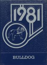 1981 Russell-Tyler-Ruthton High School Yearbook from Russell, Minnesota cover image