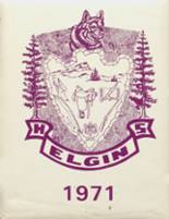 Elgin High School 1971 yearbook cover photo