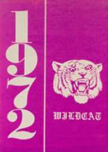 Fletcher High School 1972 yearbook cover photo