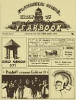 Plainwell High School 1976 yearbook cover photo