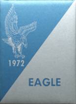 1972 Cave In Rock High School Yearbook from Cave in rock, Illinois cover image