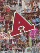 Amherst Public High School 2009 yearbook cover photo