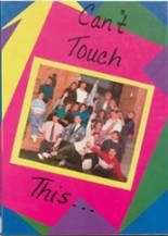 Chester High School 1991 yearbook cover photo
